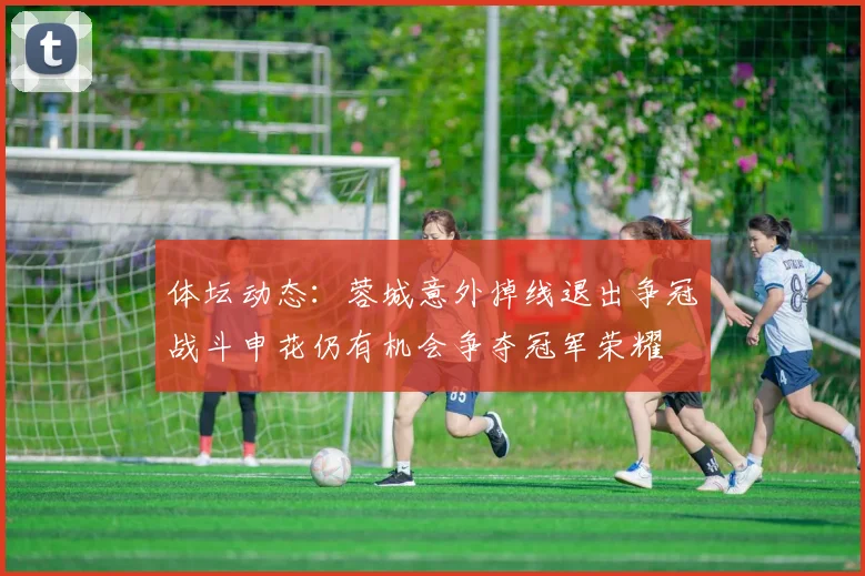 体坛动态：蓉城意外掉线退出争冠战斗申花仍有机会争夺冠军荣耀