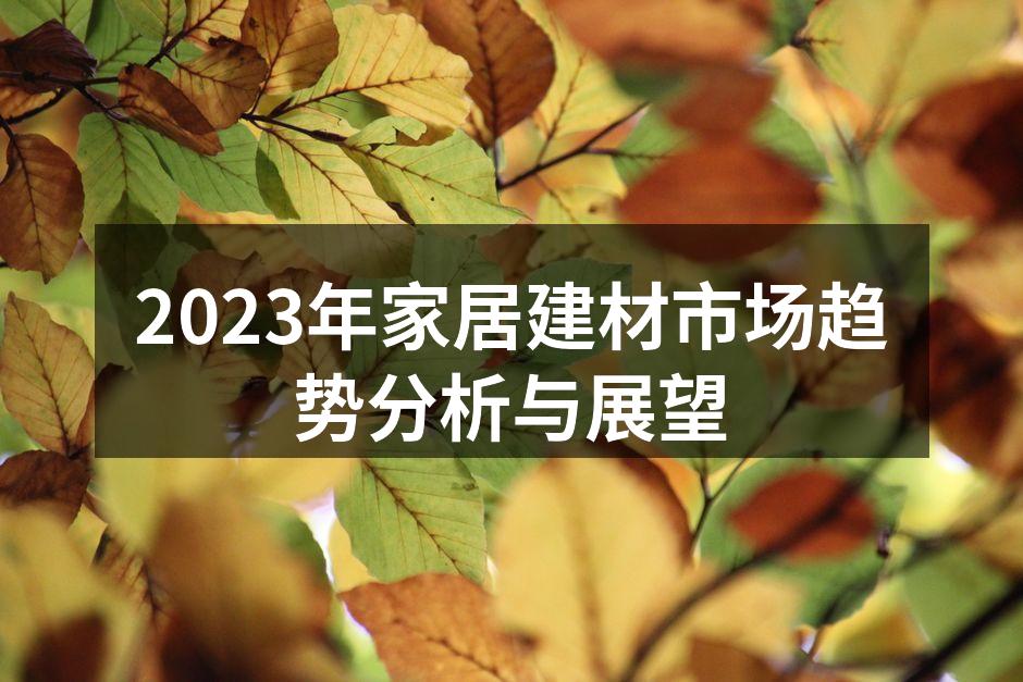 2023年家居建材市场趋势分析与展望