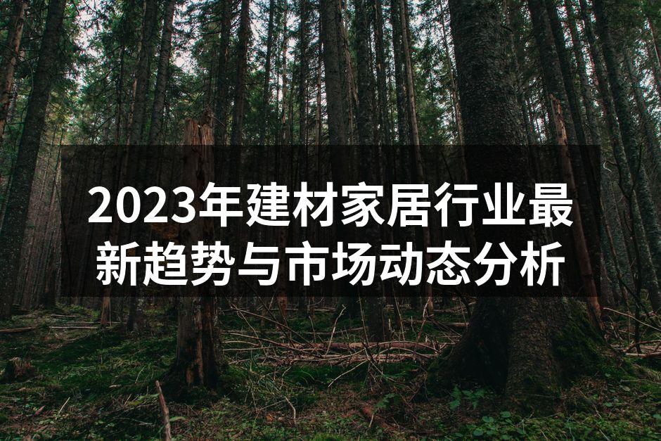 2023年建材家居行业最新趋势与市场动态分析